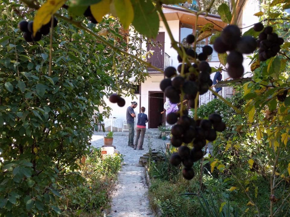 ديليجان Nina B&B المظهر الخارجي الصورة